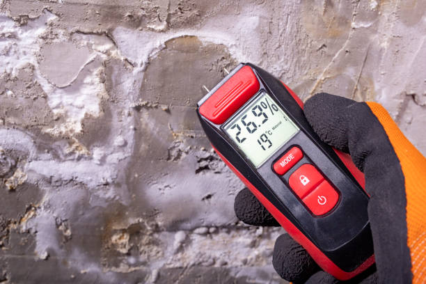 Best Residential Mold Removal  in Canyonville, OR
