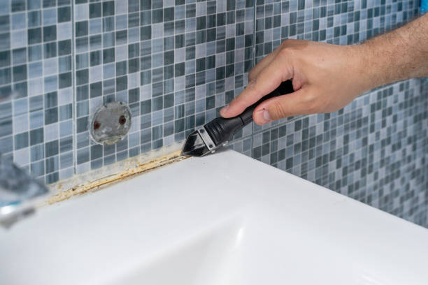 Best Same-Day Mold Removal  in Canyonville, OR