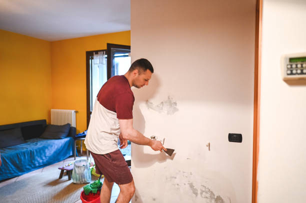 Best Mold Testing  in Canyonville, OR