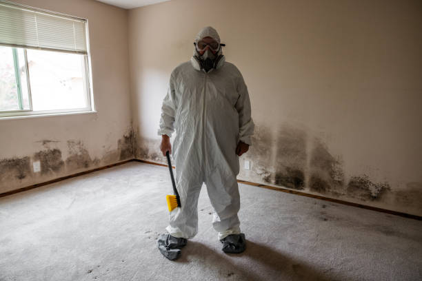 Crawl Space Mold Removal in Canyonville, OR